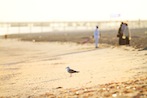 Seaside photograph by Floris Scheplitz